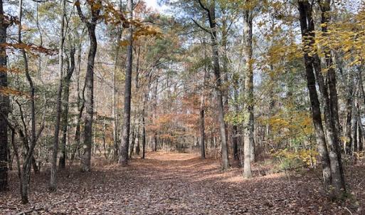 Photo #26 of SOLD property in 1629 Virginia Road, Edenton, NC 50.0 acres