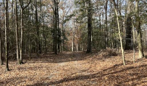 Photo #27 of SOLD property in 1629 Virginia Road, Edenton, NC 50.0 acres