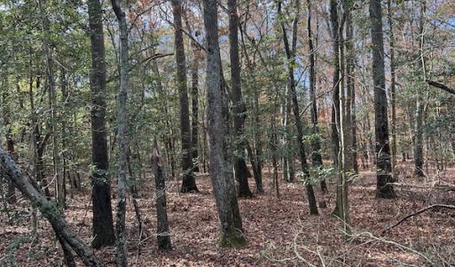 Photo #28 of SOLD property in 1629 Virginia Road, Edenton, NC 50.0 acres