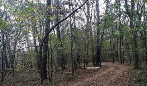 Photo #6 of NC 87 Highway East, Elizabethtown, NC 140.0 acres
