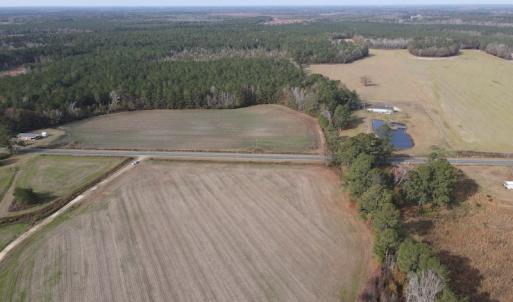 Photo #2 of SOLD property in Off Twisted Hickory Road, Bladenboro, NC 97.3 acres
