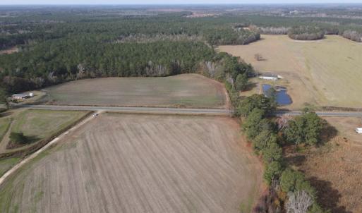 Photo #2 of SOLD property in Off Twisted Hickory Road, Bladenboro, NC 97.3 acres