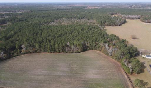 Photo #3 of SOLD property in Off Twisted Hickory Road, Bladenboro, NC 97.3 acres