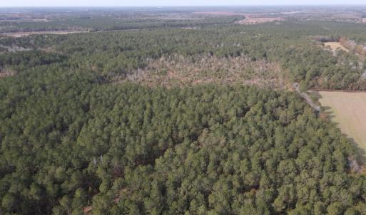 Photo #4 of SOLD property in Off Twisted Hickory Road, Bladenboro, NC 97.3 acres