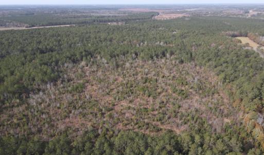 Photo #5 of SOLD property in Off Twisted Hickory Road, Bladenboro, NC 97.3 acres