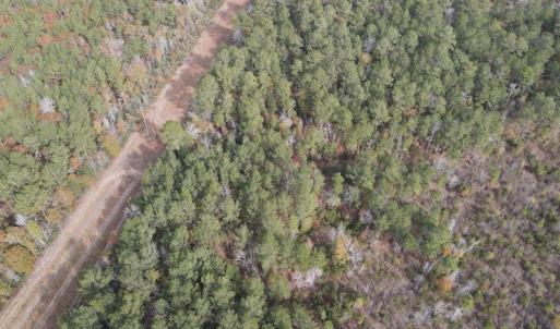 Photo #6 of SOLD property in Off Twisted Hickory Road, Bladenboro, NC 97.3 acres