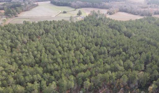 Photo #7 of SOLD property in Off Twisted Hickory Road, Bladenboro, NC 97.3 acres