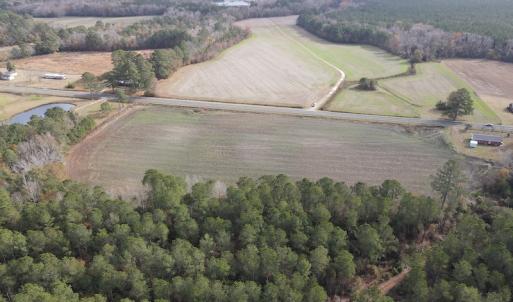 Photo #8 of SOLD property in Off Twisted Hickory Road, Bladenboro, NC 97.3 acres
