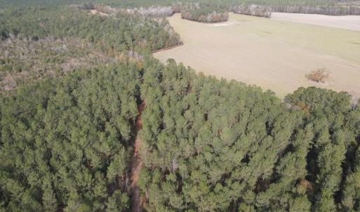 Photo #10 of SOLD property in Off Twisted Hickory Road, Bladenboro, NC 97.3 acres