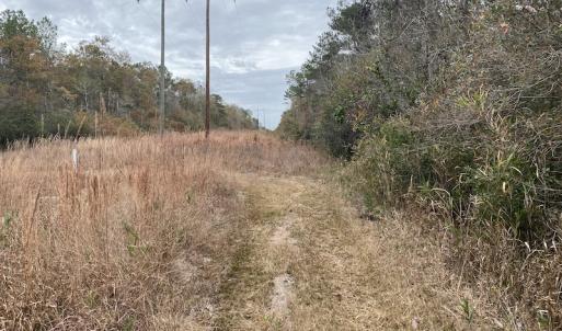 Photo #18 of SOLD property in Off Twisted Hickory Road, Bladenboro, NC 97.3 acres