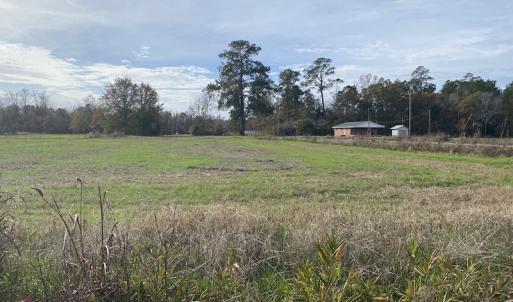 Photo #21 of SOLD property in Off Twisted Hickory Road, Bladenboro, NC 97.3 acres