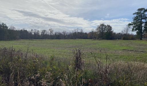 Photo #22 of SOLD property in Off Twisted Hickory Road, Bladenboro, NC 97.3 acres
