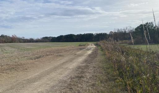 Photo #23 of SOLD property in Off Twisted Hickory Road, Bladenboro, NC 97.3 acres