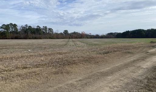 Photo #24 of SOLD property in Off Twisted Hickory Road, Bladenboro, NC 97.3 acres