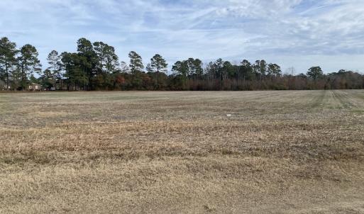 Photo #25 of SOLD property in Off Twisted Hickory Road, Bladenboro, NC 97.3 acres