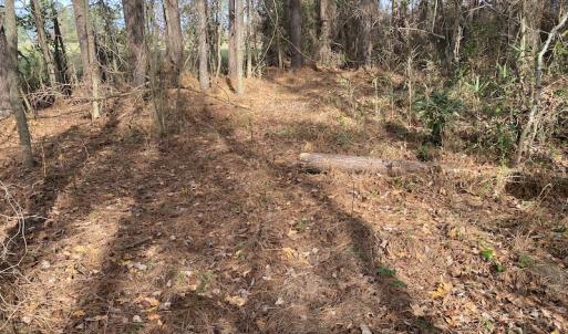 Photo #28 of SOLD property in Off Twisted Hickory Road, Bladenboro, NC 97.3 acres
