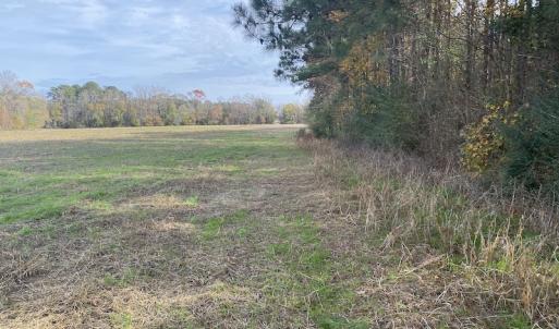 Photo #31 of SOLD property in Off Twisted Hickory Road, Bladenboro, NC 97.3 acres