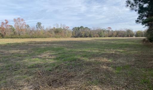 Photo #32 of SOLD property in Off Twisted Hickory Road, Bladenboro, NC 97.3 acres
