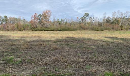 Photo #33 of SOLD property in Off Twisted Hickory Road, Bladenboro, NC 97.3 acres