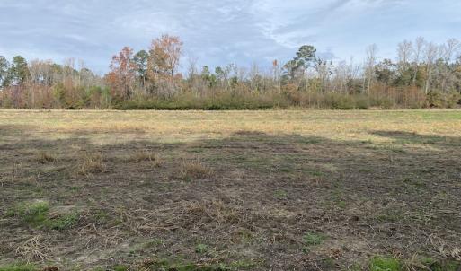 Photo #33 of SOLD property in Off Twisted Hickory Road, Bladenboro, NC 97.3 acres