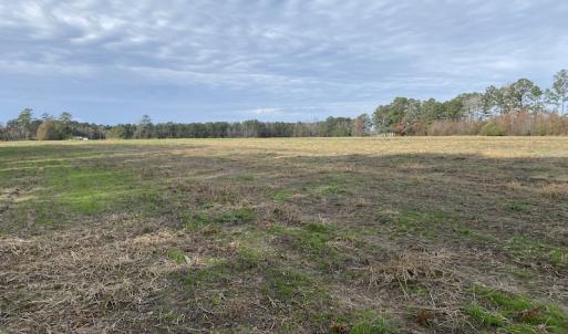 Photo #34 of SOLD property in Off Twisted Hickory Road, Bladenboro, NC 97.3 acres