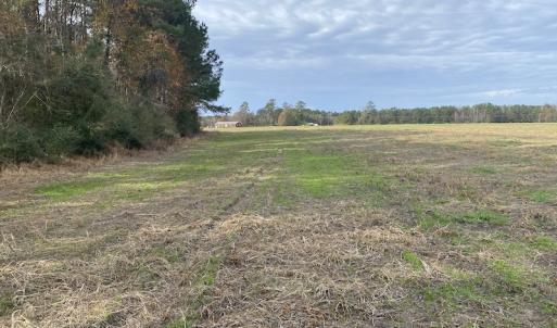 Photo #35 of SOLD property in Off Twisted Hickory Road, Bladenboro, NC 97.3 acres