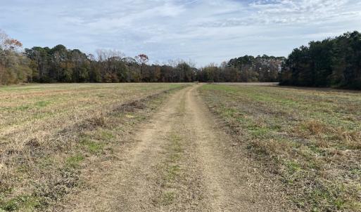 Photo #36 of SOLD property in Off Twisted Hickory Road, Bladenboro, NC 97.3 acres