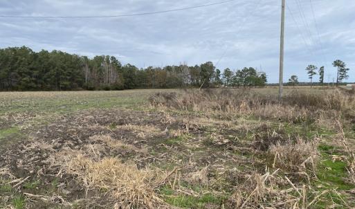 Photo #37 of SOLD property in Off Twisted Hickory Road, Bladenboro, NC 97.3 acres