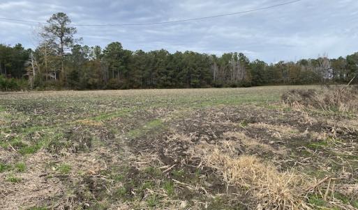 Photo #38 of SOLD property in Off Twisted Hickory Road, Bladenboro, NC 97.3 acres