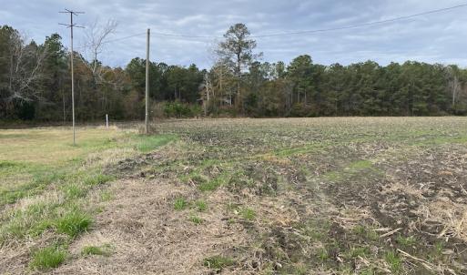 Photo #39 of SOLD property in Off Twisted Hickory Road, Bladenboro, NC 97.3 acres