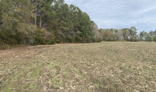 Photo #40 of SOLD property in Off Twisted Hickory Road, Bladenboro, NC 97.3 acres