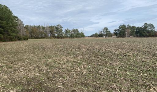 Photo #41 of SOLD property in Off Twisted Hickory Road, Bladenboro, NC 97.3 acres