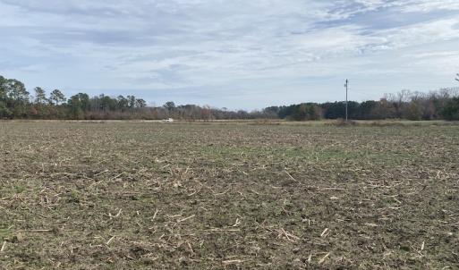 Photo #42 of SOLD property in Off Twisted Hickory Road, Bladenboro, NC 97.3 acres
