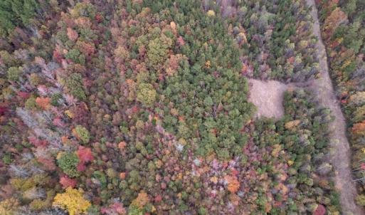 Photo #9 of SOLD property in Off Beamon Hunt Road, Warrenton, NC 10.9 acres