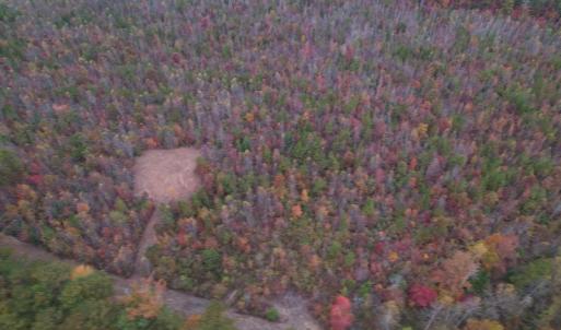 Photo #12 of SOLD property in Off Beamon Hunt Road, Warrenton, NC 10.9 acres