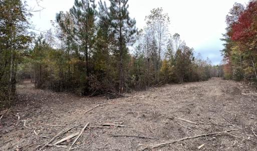 Photo #13 of SOLD property in Off Beamon Hunt Road, Warrenton, NC 10.9 acres