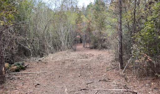 Photo #14 of SOLD property in Off Beamon Hunt Road, Warrenton, NC 10.9 acres