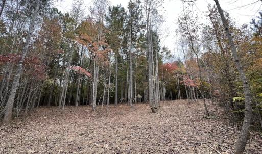 Photo #15 of SOLD property in Off Beamon Hunt Road, Warrenton, NC 10.9 acres