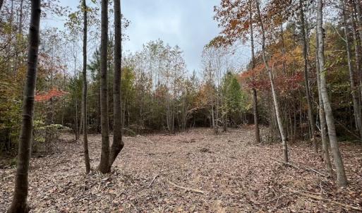 Photo #16 of SOLD property in Off Beamon Hunt Road, Warrenton, NC 10.9 acres