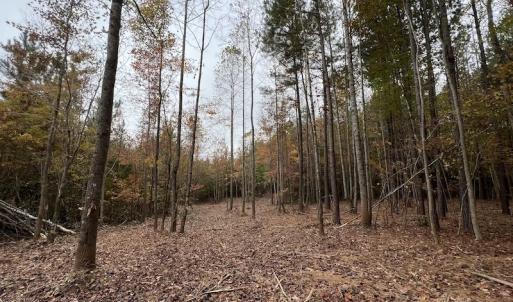 Photo #17 of SOLD property in Off Beamon Hunt Road, Warrenton, NC 10.9 acres