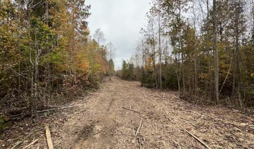 Photo #18 of SOLD property in Off Beamon Hunt Road, Warrenton, NC 10.9 acres