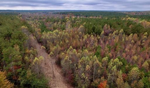 Photo #2 of SOLD property in Off Beamon Hunt Road, Warrenton, NC 10.9 acres