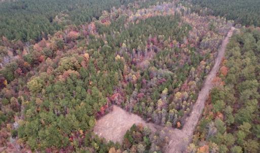 Photo #6 of SOLD property in Off Beamon Hunt Road, Warrenton, NC 10.9 acres