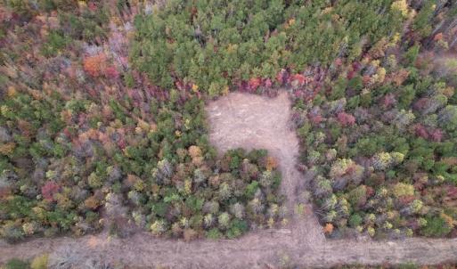 Photo #7 of SOLD property in Off Beamon Hunt Road, Warrenton, NC 10.9 acres