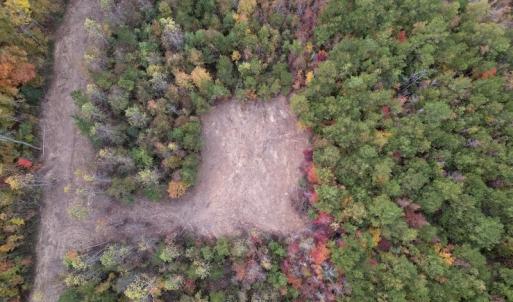 Photo #8 of SOLD property in Off Beamon Hunt Road, Warrenton, NC 10.9 acres