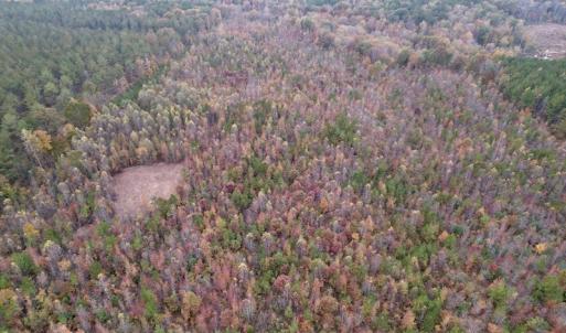 Photo #10 of SOLD property in Off Beamon Hunt Road, Warrenton, NC 16.0 acres