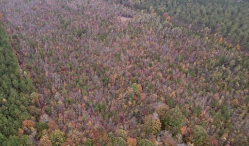 Photo #12 of SOLD property in Off Beamon Hunt Road, Warrenton, NC 16.0 acres