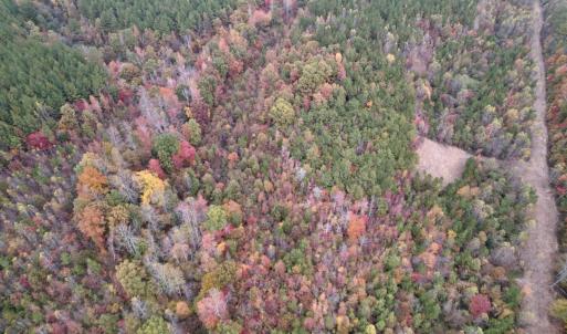 Photo #13 of SOLD property in Off Beamon Hunt Road, Warrenton, NC 16.0 acres