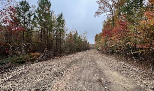 Photo #14 of SOLD property in Off Beamon Hunt Road, Warrenton, NC 16.0 acres