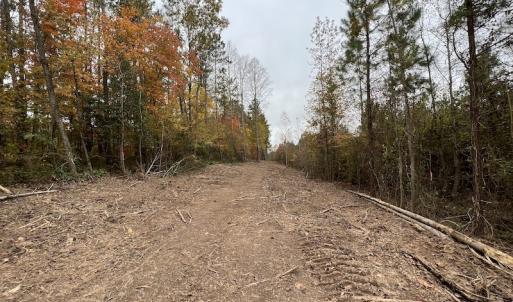 Photo #15 of SOLD property in Off Beamon Hunt Road, Warrenton, NC 16.0 acres